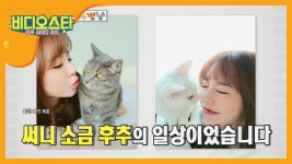 나만 없어 고양이.. 세상 예쁜 써니의 소금X후추 | ZUM TV