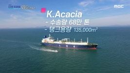 10년 차 도선사에게도 긴장되는 순간! 대형 선박의 입항 | ZUM TV