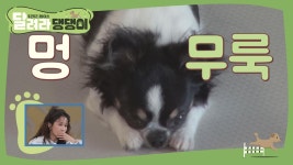 지민이 없는 사이... 유즈얼 서스펙트급 대반전!!☆ | ZUM TV