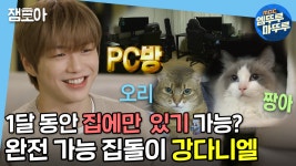 [엠뚜루마뚜루] 고양이부터 PC방까지🖥 다녤이 왜 집돌이인지 알겠다(*ฅ́˘ฅ̀*) | #나혼자산다 MBC210423방송 | ZUM TV