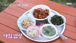 밭에서 밥상까지 논스톱! 농부네 아침, MBC 210510 방송 | ZUM TV