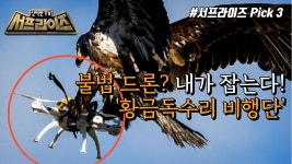 네덜란드 ‘황금독수리 비행단’의 특별한 사냥감, MBC 211205 방송 | ZUM TV