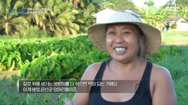 50개 주 중에서 건강수준 1위를 지키고 있는 하와이!, MBC 220109 방송 | ZUM TV