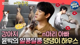 [엠뚜루마뚜루] 만져줘! 안아줘! 뽀뽀해 줘! 댕댕이 3마리와 동거하는 윤박 🐶ㅣ#윤박 #엠뚜루마뚜루 MBC220409방송 | ZUM TV