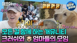 [엠뚜루마뚜루] 동네 개뮤니티 회원들과의 모임! 항상 서로를 챙겨주는 크러쉬와 스카이개슬🐶 | MBC220916방송 | ZUM TV