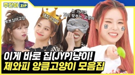 [주간아.zip] 이게 바로 집(JYP)냥이! 제와피 고양이상들의 주간아 활약 모음집♥ l 제이와이피(JYP) | ZUM TV