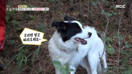 충효사 마스코트, 산행 길잡이 몽이, MBC 221012 방송 | ZUM TV