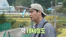 대추 농장에 도착한 이장우 🌟 ＂수확하시는 동안에 드시는 건 얼마든지!＂, MBC 221021 방송 | ZUM TV