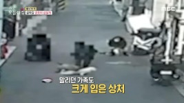 개 물림 사고,누구의 잘못?, MBC 221226 방송 | ZUM TV