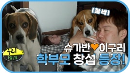 《스페셜》 슈가반💕귀염둥이 구리와 함께 보내는 창섭의 행복한 하루 일과💖, MBC 230324 방송 | ZUM TV