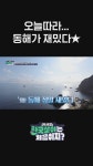 오늘따라 동해가 재밌네? 역시 휴식에는 물멍👍 l #어서와한국살이는처음이지 l #MBCevery1 l #shorts | ZUM TV
