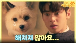 개로 변한 박규영을 보며... 공포에 질린 차은우😨?! ＂해치지 않아요＂, MBC 231011 방송 | ZUM TV