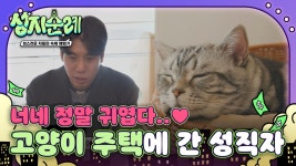 나만 없어 고양이🐱 사랑스러운 고양이들과 함께하는 고양이 주택에 찾아간 성직자들 | ZUM TV