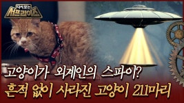 [다시보는 서프라이즈] 고양이가 외계인의 스파이? 흔적 없이 사라진 고양이 211마리 | MBC190811방송 | ZUM TV