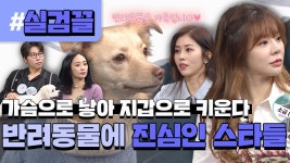 가슴으로 낳아 지갑으로 키운다...★ 금쪽같은 내새끼 😺반려동물🐶에 진심인 스타들 l #실검끌 l #비디오스타 l #MBCevery1 | ZUM TV