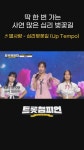 딱 한 번 가는 사연 많은 십리벚꽃길🌸 별사랑의 ＜십리벚꽃길＞ l #트롯챔피언 l #shorts | ZUM TV