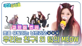 여기가 주간아야 고양이 유치원이야😺😺 우리는 친구! 21 팀의 MEOW | ZUM TV