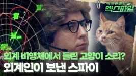 [서프라이즈 엑스파일] 외계 비행체에서 들린 고양이 소리? 외계인이 보낸 스파이 #서프라이즈 MBC190811방송 | ZUM TV