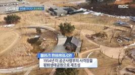 사진 작가와 함께 하는 매향리 평화생태공원!, MBC 250206 방송 | ZUM TV
