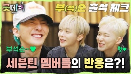 굿데이 촬영 후 세븐틴 멤버들의 반응은?! ＂일부러 저는 호들갑 안 떨어요＂, MBC 250316 방송 | ZUM TV