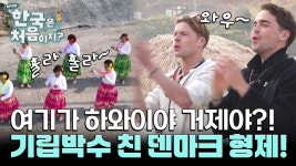 여기가 하와이야 거제야? 훌라댄스 보고 기립박수 친 덴마크 형제ㅋㅋㅋ | ZUM TV
