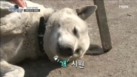 노총각 정돌이의 새색시 공개! | ZUM TV
