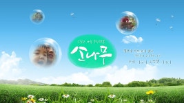 소나무 : TV줌