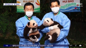 ZUM 뉴스 5중 추돌로 8명 경상...`포르쉐` 상가 돌진 사고도
