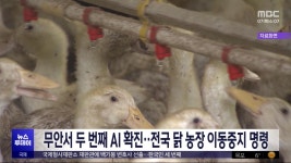 ZUM 뉴스 `짝퉁 논란` 알리 `가품 의심되면 100% 환불`