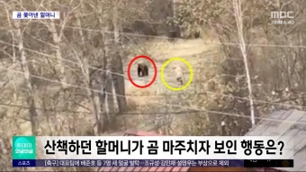 ZUM 뉴스 이스라엘-이집트 라파 교전 `1명 사망`…난민촌 폭격으로 45명 숨져
