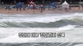 장마에 태풍 ′장미′까지 상륙…이동 경로는? | ZUM TV