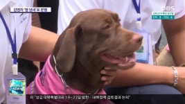 냄새로 코로나19 잡는 탐지견