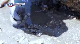[섬생극장] 영흥도 진두마을 | ZUM TV