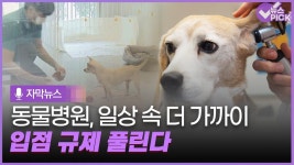 [자막뉴스] 동물병원·동물미용실, 일상 속 더 가까이 / OBS 뉴스 | ZUM TV