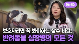 [어서옵쇼] 반려동물 아프지 않고 장수하는 비결은? 보호자라면 꼭 봐야 하는 반려동물 심장병의 모든 것! | ZUM TV