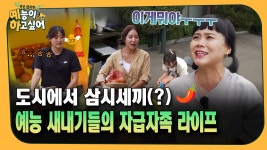 [돈은 없지만_예능이 하고 싶어] 도시에서 삼시세끼(?) 예능 새내기들의 자급자족 라이프 | ZUM TV [돈은 없지만_예능이 하고 싶어] 도시에서... 
