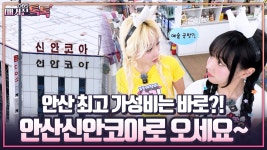 [매거진 톡톡] 안산 최고 가성비는 바로?! 안산신안코아로 오세요~ | ZUM TV