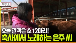 [다큐 ‘가족’ 45회 上] 오늘 관객은 소 12마리! 축사에서 노래하는 은주 씨 | ZUM TV