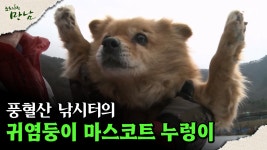 [로드다큐 ′만남′ 118회④] 풍혈산 낚시터의 마스코트 누렁이 | ZUM TV