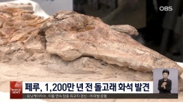 미국 주유소서 아찔한 순간...′천운 따랐다′ | ZUM TV