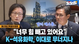 [현장영상] ＂너무 힘 빼고 있어요＂... K-석유화학, 이대로 무너지나 | ZUM TV