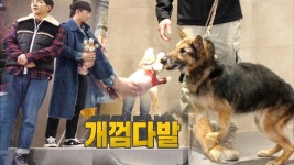 집사부 멤버들, 은퇴하는 레오를 위한 ‘개껌다발’ | ZUM TV