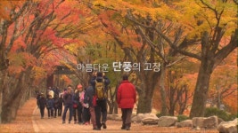 [예고] 2017 정읍 단풍미인컵 | ZUM TV