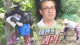 천하장사 이만기, 중흥리 들썩하게 하는 괴력 쇼! | ZUM TV