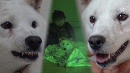 히키코모리견 ‘올망이’의 세상 밖으로 나오기 작전! | ZUM TV