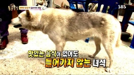 불안 증상에 폐소공포증까지?! 길순이의 이상행동 | ZUM TV