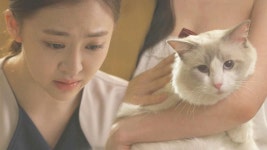 다솜, 고양이에 무릎 꿇으며 ‘굴욕적인 사과’ | ZUM TV
