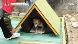 똘이의 사연, 성금 모여 ‘동화같은 힐링하우스’ 마련! | ZUM TV