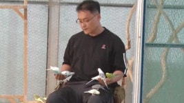 15종 300마리와 생활하는 ‘앵무새 아빠’ | ZUM TV