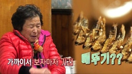 이춘자 여사, 메뚜기 초콜릿 먹고 ‘기겁’ | ZUM TV